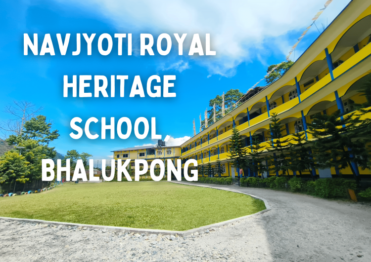 The Glimpse of NRHS Campus